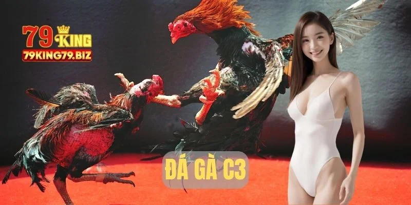 Đá gà c3 tại 79king